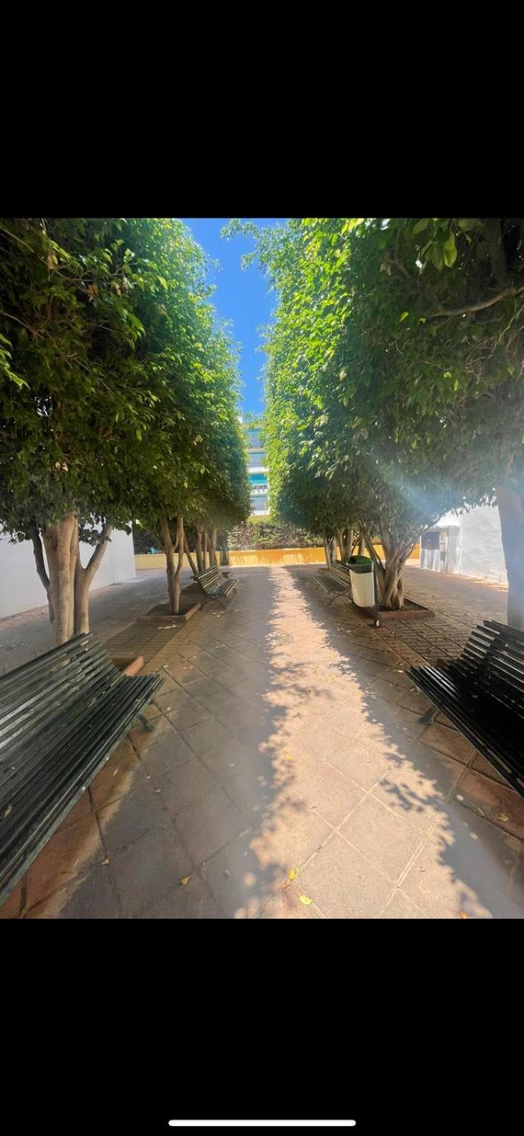 Apartamento Jardines Del Rocio Torre Del Mar Zewnętrze zdjęcie