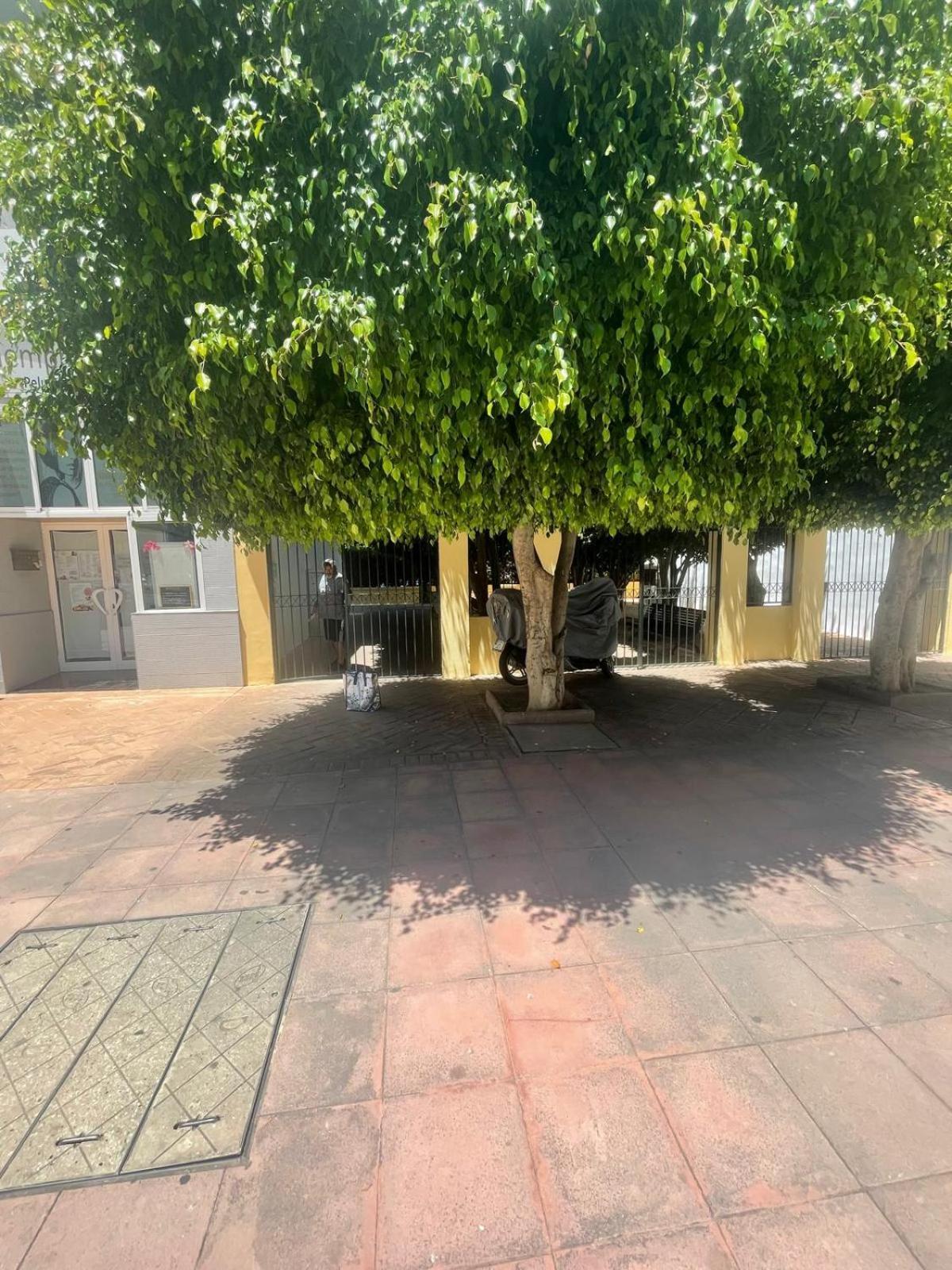 Apartamento Jardines Del Rocio Torre Del Mar Zewnętrze zdjęcie